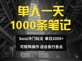 单人一天1000条笔记，日入2000+，BOSS直聘的正确玩法【揭秘】-天天学吧