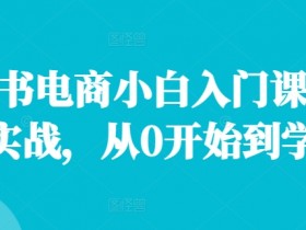 小红书电商小白入门课，店群实战，从0开始到学会-天天学吧