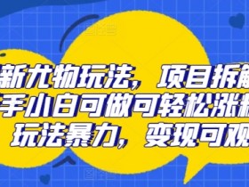 最新尤物玩法，项目拆解，新手小白可做可轻松涨粉，玩法暴力，变现可观-天天学吧