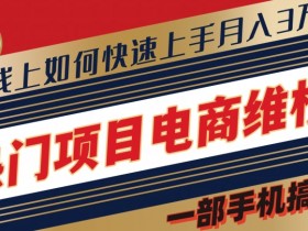 热门项目电商维权全新思路集，一部手机搞定【仅揭秘】-天天学吧