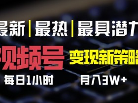 视频号变现新策略，每日一小时月入过万-天天学吧