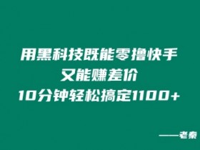 用黑科技既能零撸快手又能赚差价，10分钟轻松搞定1100+-天天学吧