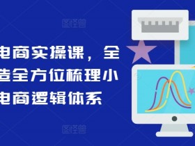 小红书电商实操课，全体系打造全方位梳理小红书电商逻辑体系-天天学吧