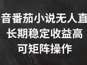 抖音番茄小说无人直播，长期稳定收益高，可矩阵操作【揭秘】-天天学吧