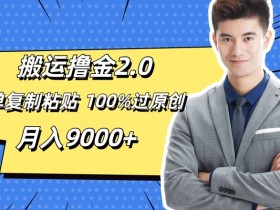 搬运撸金2.0，简单复制粘贴，100%过原创，月入9000+-天天学吧