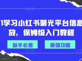 从0-1学习小红书聚光平台信息流投放，保姆级入门教程-天天学吧