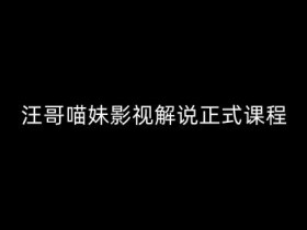 汪哥影视解说正式课程：剪映/PR教学/视解说剪辑5大黄金法则/全流程剪辑7把利器等等-天天学吧