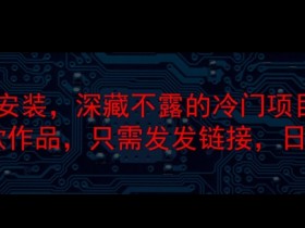 steam代安装，深藏不漏的冷门项目，教你做出爆款作品，只需发发链接，日入300+-天天学吧