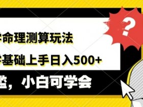 AI国学命理测算玩法，小白零基础上手，日入几张-天天学吧