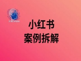 小红书案例拆解，深度解读小红书40万粉-天天学吧