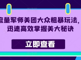 流量军师美团大众粗暴玩法，迅速高效掌握美大秘诀-天天学吧