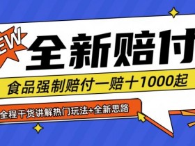 全新赔付思路糖果食品退一赔十一单1000起全程干货【仅揭秘】-天天学吧