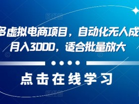 最新拼多多虚拟电商项目，自动化无人成交，单店月入3000，适合批量放大-天天学吧