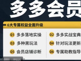 拼多多会员，拼多多实战宝典+实战落地实操，从新手到高阶内容全面覆盖-天天学吧