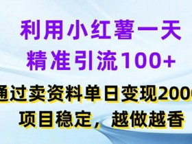 利用小红书一天精准引流100+，通过卖项目单日变现2k+，项目稳定，越做越香【揭秘】-天天学吧