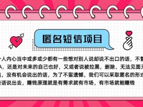 冷门小众赚钱项目，匿名短信，玩转信息差，月入五位数【揭秘】-天天学吧