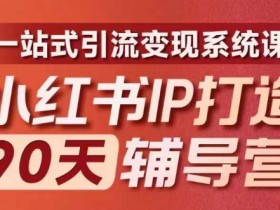 小红书IP打造90天辅导营(第十期)​内容全面升级，一站式引流变现系统课-天天学吧