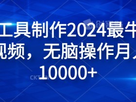 纯AI工具制作2024最牛原创视频，无脑操作月入1W+【揭秘】-天天学吧