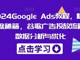 2024Google Ads教程，精准询盘秘籍，谷歌广告投放流程，数据分析与优化-天天学吧