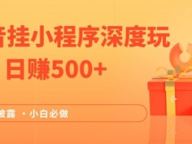 2024全网首次披露，抖音挂小程序深度玩法，日赚500+，简单、稳定，带渠道收入，小白必做【揭秘】-天天学吧