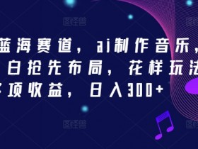 2024新蓝海赛道，ai制作音乐，新手小白抢先布局，花样玩法多项收益，日入300+【揭秘】-天天学吧