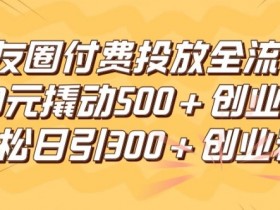 朋友圈高效付费投放全流程，100元撬动500+创业粉，日引流300加精准创业粉【揭秘】-天天学吧