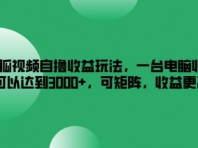 搜狐视频自撸收益玩法，一台电脑收益可以达到3k+，可矩阵，收益更高【揭秘】-天天学吧