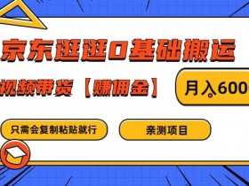 京东逛逛0基础搬运、视频带货【赚佣金】月入6000+【揭秘】-天天学吧