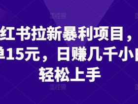 小红书拉新暴利项目，一单15元，日赚几千小白轻松上手【揭秘】-天天学吧