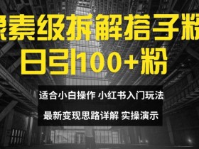 像素级拆解搭子粉，日引100+，小白看完可上手，最新变现思路详解【揭秘】-天天学吧