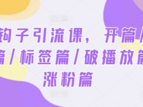 2024钩子引流课，开篇/定位篇/标签篇/破播放篇/涨粉篇-天天学吧