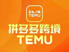 最新TEMU拼多多跨境教程，开店、运营、选品-天天学吧