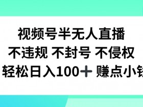 视频号半无人直播，不违规不封号，轻松日入100+【揭秘】-天天学吧