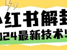 2024最新小红书账号封禁解封方法，无限释放手机号【揭秘】-天天学吧