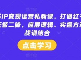 小红书IP变现运营私教课，打通红书IP变现任督二脉，底层逻辑、实操方法、战训结合-天天学吧