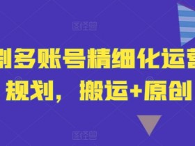 短剧多账号精细化运营和规划，搬运+原创-天天学吧