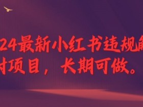 2024最新小红书违规解封项目，长期可做，一个可以做到退休的项目【揭秘】-天天学吧