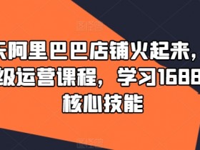 90天阿里巴巴店铺火起来，1688高级运营课程，学习1688运营核心技能-天天学吧