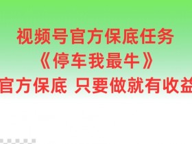 视频号官方保底任务，停车我最牛，官方保底只要做就有收益【揭秘】-天天学吧