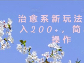 治愈系新玩法，日入200+，简单好操作【揭秘】-天天学吧