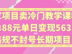 独家项目卖冷门教学课程一单88元单日变现5632元违规不封号长期项目【揭秘】-天天学吧