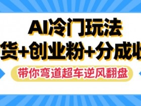 AI冷门玩法，带货+创业粉+分成收益，带你弯道超车，实现逆风翻盘【揭秘】-天天学吧