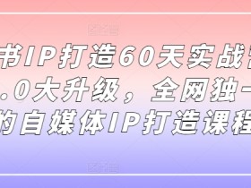 小红书IP打造60天实战营11期，5.0大升级，全网独一无二的自媒体IP打造课程-天天学吧