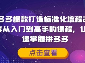 拼多多爆款打造标准化流程2.0，一套从入门到高手的课程，让你快速掌握拼多多-天天学吧