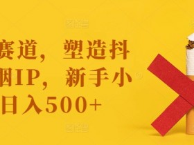 蓝海赛道，塑造抖音戒烟IP，新手小白日入500+【揭秘】-天天学吧