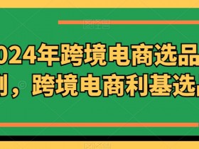 2024年跨境电商选品案例，跨境电商利基选品（更新）-天天学吧