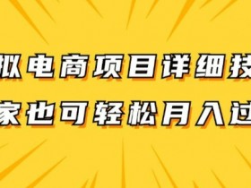 虚拟电商项目详细拆解，兼职全职都可做，每天单账号300+轻轻松松【揭秘】-天天学吧