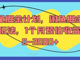 流量掘金计划，闲鱼掘金全案玩法，1个月预估收益500-2000+-天天学吧