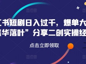 小红书短剧日入过千，爆单大佬“繁华落叶”分享二创实操经验-天天学吧