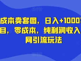 零成本卖套图，日入+1000写真项目，零成本，纯利润收入，全网引流玩法-天天学吧